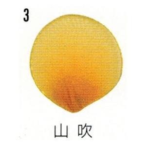 メッシュクロス　*3　山吹