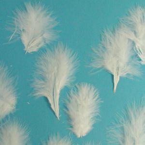 マラボー小　*ホワイト　（15枚入り）