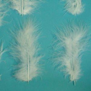 マラボー中　*ホワイト　（10枚入り）