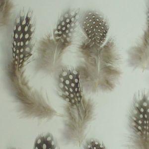 ホロホロ鳥　腹毛　（20枚入り）