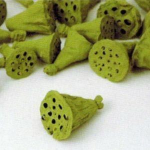 ハスの実・約２ｃｍ*ライトグリーン