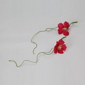 P-1257　ミニ梅　＊ビューティ　（12個入り）