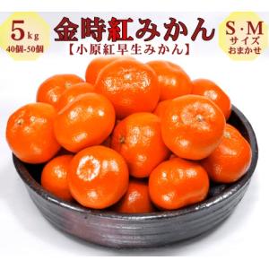 みかん 金時紅 小原紅早生 香川県産 約5kg S M サイズ 糖度11.5度以上 GI登録 日本一紅い プレミアム 温州みかん 希少品種 贈答用 ギフト 産地直送 送料無料