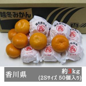 越冬完熟みかん 約３ｋｇ ２Ｓサイズ５０個入り 香川県産