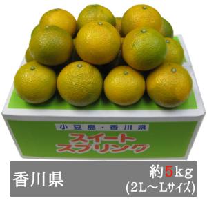 小豆島スイートスプリング 約5kg2L-L(18-28個前後) 香川県産