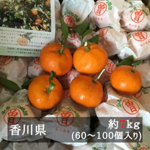 越冬完熟袋掛けみかん（ふるーつ物語） 約７ｋｇ（約６０-１００個） 香川県産｜bimi-shunka