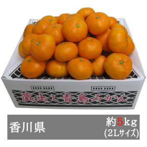 蔵出しみかん 約５ｋｇ ２Ｌサイズ（約３０個） 香川県産