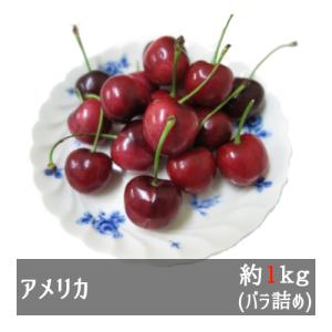 アメリカンチェリー 11R 約1kg アメリカ産