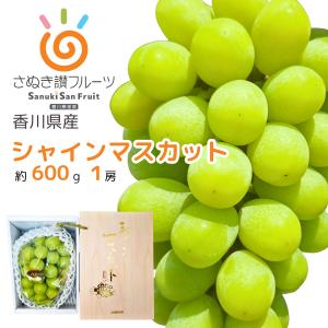 香川県産 シャインマスカット 秀品 約600g 種なし 高糖度ぶどう 敬老の日