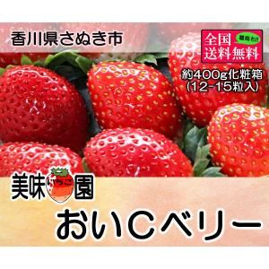 美味いちご園 おいCベリー 大粒約400g化粧箱入り(12-...