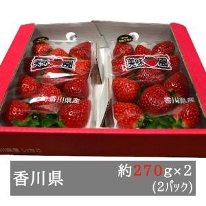 長崎産イチゴ ”ゆめのかいちご” 約300g×2pc 大粒1パック7〜11粒 長崎産イチゴ ”ゆめのかいちご” 約300g×2pc 大粒1パック7〜11粒