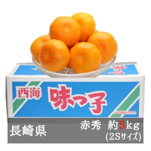 みかん 長崎県産 味っ子 赤秀2S 5kg させぼ温州 糖度13度以上 最高等級 光センサー選別 お歳暮 贈答用 送料無料
