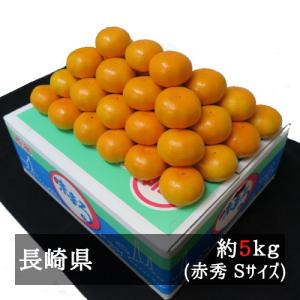 味まるみかん 赤秀ｓ 約５ｋｇ 長崎県産 ウィルマート