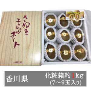 さぬきエンジェルスイート（Ａランク） ７-９玉化粧箱入り 香川県産｜bimi-shunka