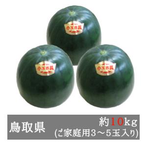 大栄の黒小玉すいか 家庭用３-５玉入り（約１０ｋｇ）