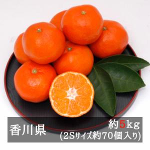【2024年再販予定無】小原紅早生みかん 約５ｋｇ ２Ｓサイズ（約７０個） 香川県産