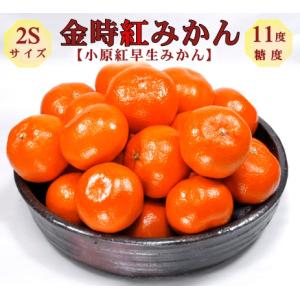 【2024年再販予定無】金時紅みかん (小原紅みかん） 約5kg ２Sサイズ 約70個 香川県産 |  贈答用 特産品  ブランドみかん
