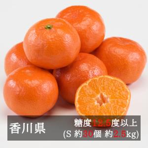 【2024年出品予定なし】さぬき紅みかん（小原紅早生） 約２.５ｋｇ Ｓサイズ３０個入り 香川県産