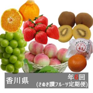 さぬき讃フルーツ定期便（年６回） 香川県産｜bimi-shunka