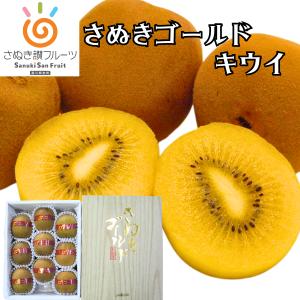 キウイ 香川県産 さぬきゴールド 黄様 5L-4L 7-8玉 糖度14.5度以上 世界最大級 超大玉 化粧箱入り ギフト 送料無料