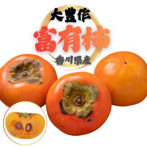 柿 富有柿 訳あり 香川県産 7.5kg 甘柿 規格外 家庭用 M S サイズ混在 豊作 瀬戸内 ビタミンC 干し柿 ジャム 加工用 送料無料