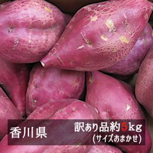 訳あり早掘りさつまいも 約５ｋｇ 香川県産