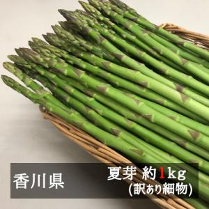 アスパラガス 訳あり細物さぬきのめざめ夏芽（約３０ｃｍ） 約１ｋｇ 香川県産