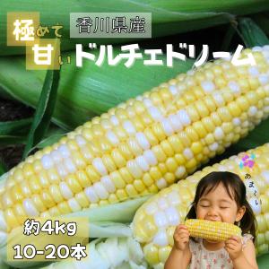 香川県産 ドルチェドリーム 約4kg（10〜20本）スイートコーン バイカラー 生食OK【冷蔵便】