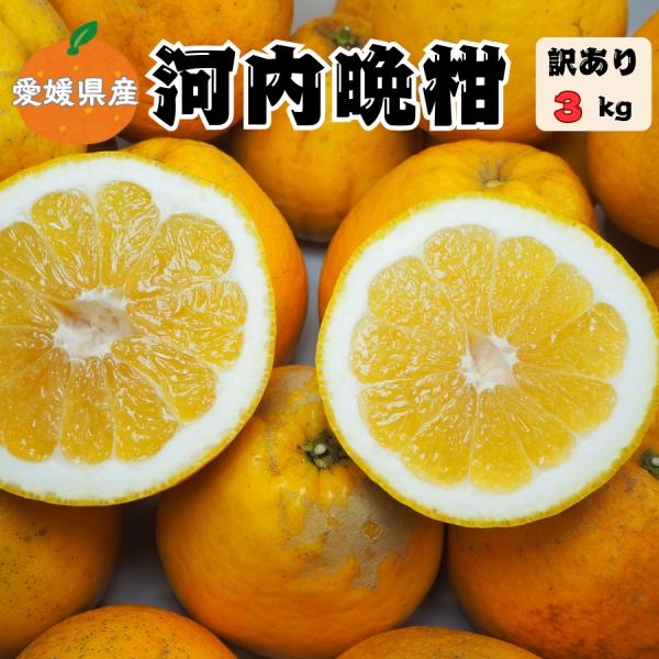 河内晩柑 3kg 愛媛県産 訳あり 家庭用 美生柑 宇和ゴールド ジューシーオレンジ 送料無料