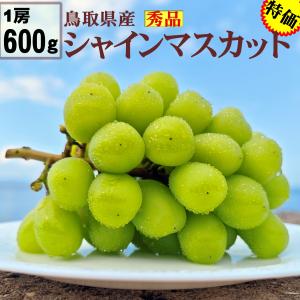 高級 シャインマスカット 約4.8kg 7-10房 ぶどう 香川 鳥取 高級 シャインマスカット 約4.8kg 7-10房 ぶどう 香川 鳥取