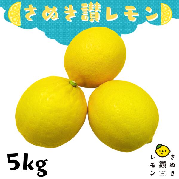 産地直送 さぬき讃レモン 約5kg ４L以上 大玉 サイズ | さぬき讃ブランド 瀬戸内レモン レモ...