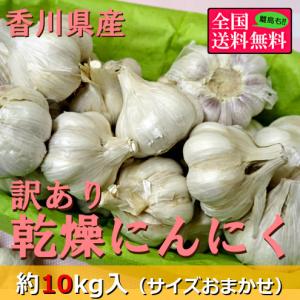 （６月中旬頃より順次発送）訳あり乾燥にんにく 約１０ｋｇ（サイズおまかせ） 香川県産｜bimi-shunka