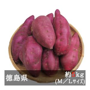 新物鳴門金時 約５ｋｇＭ／Ｌサイズ  徳島県産