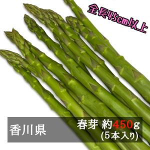 アスパラガス さぬきのめざめロング（約45cm以上）春芽 5本入り（約450ｇ） 香川県産｜bimi-shunka