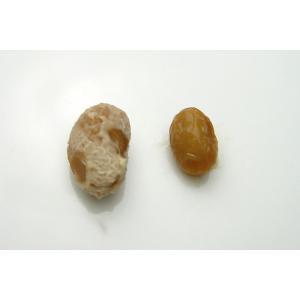 大粒信州大豆100% 川中島納豆(90g)20パックの詳細画像4