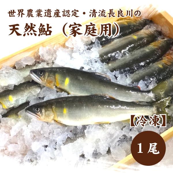 清流長良川　天然鮎 1尾（約65〜70g）家庭用　皇室献上鮎の御料場エリアの結の舟（ゆいのふね）から...