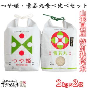 令和7年山形県庄内産雪若丸 白米10kg 特別栽培米 農家直送 特A一等