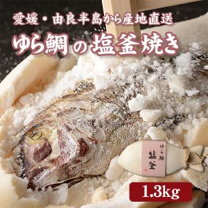 ゆら鯛の塩釜焼き（1.3kg）愛媛県南宇和郡の由良半島から産地直送でお届け 送料無料 タイ たい 真鯛 めで鯛 産直 お祝い 祝い事 お中元 お歳暮 入学 卒業 還暦