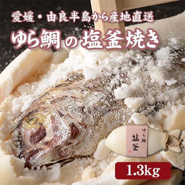 ゆら鯛の塩釜焼き（1.3kg）愛媛県南宇和郡の由良半島から産地直送でお届け 送料無料 タイ たい 真...