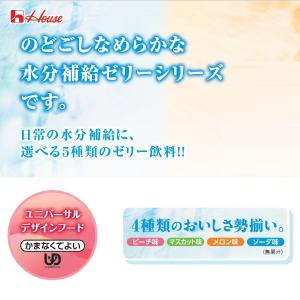 ハウスギャバン お水のゼリー マスカット味 /...の詳細画像1