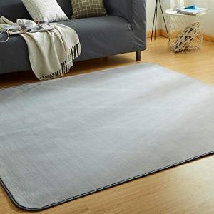 VK Living カーペット ラグ ラグマット 絨毯 200×250cm 洗える 滑り止め付 防ダニ 抗菌 防臭 1年中使えるタイプ