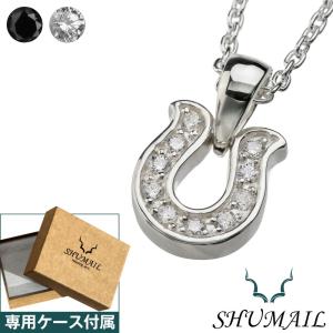 Binich ネックレス 馬蹄 メンズ ホースシュー シルバー925