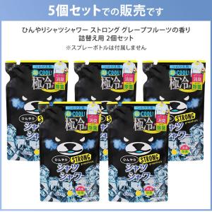 ひんやりシャツシャワー ストロング つめかえ用...の詳細画像1