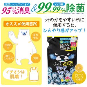 ひんやりシャツシャワー ストロング つめかえ用...の詳細画像3