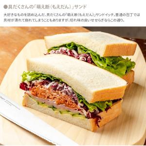クーポン発行中 正規販売店 サンクラフト パン...の詳細画像5