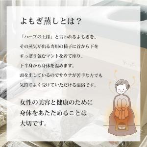 正規販売店 yomogina 家庭用よもぎ蒸し...の詳細画像1