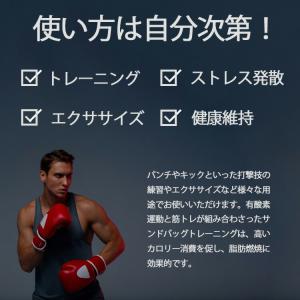 Clipper 人型スタンディングダミーサンド...の詳細画像1