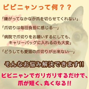 bibi Nyan ビビニャン ボックス型 1...の詳細画像2