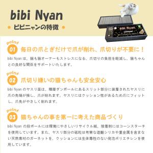 bibi Nyan ビビニャン ボックス型 1...の詳細画像3