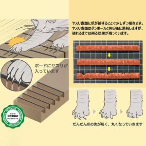 bibi Nyan ビビニャン ボックス型 1...の詳細画像4